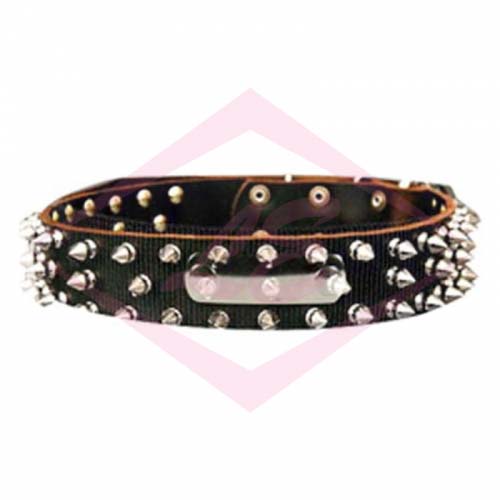 Dogs Collars