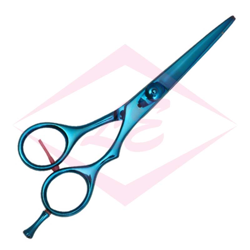 Professional Hair Cutting Scissors